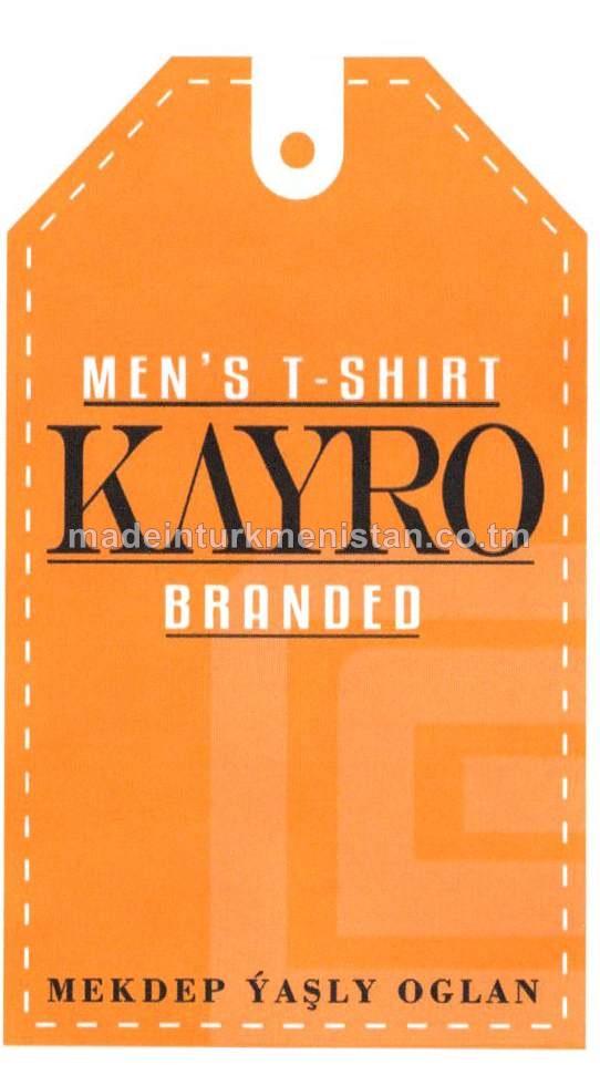 Uly mekdep ýaşly oglanlaryň trikotaž matadan fufaýkasy. Modeli: F6000, artikul: 1, ölçegi: 38