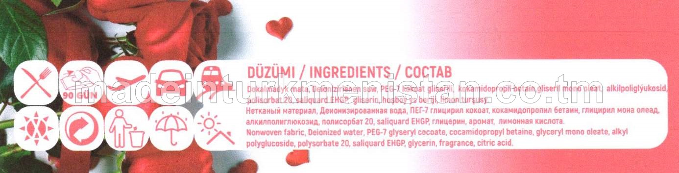 Çygly süpürgiçler Bägül