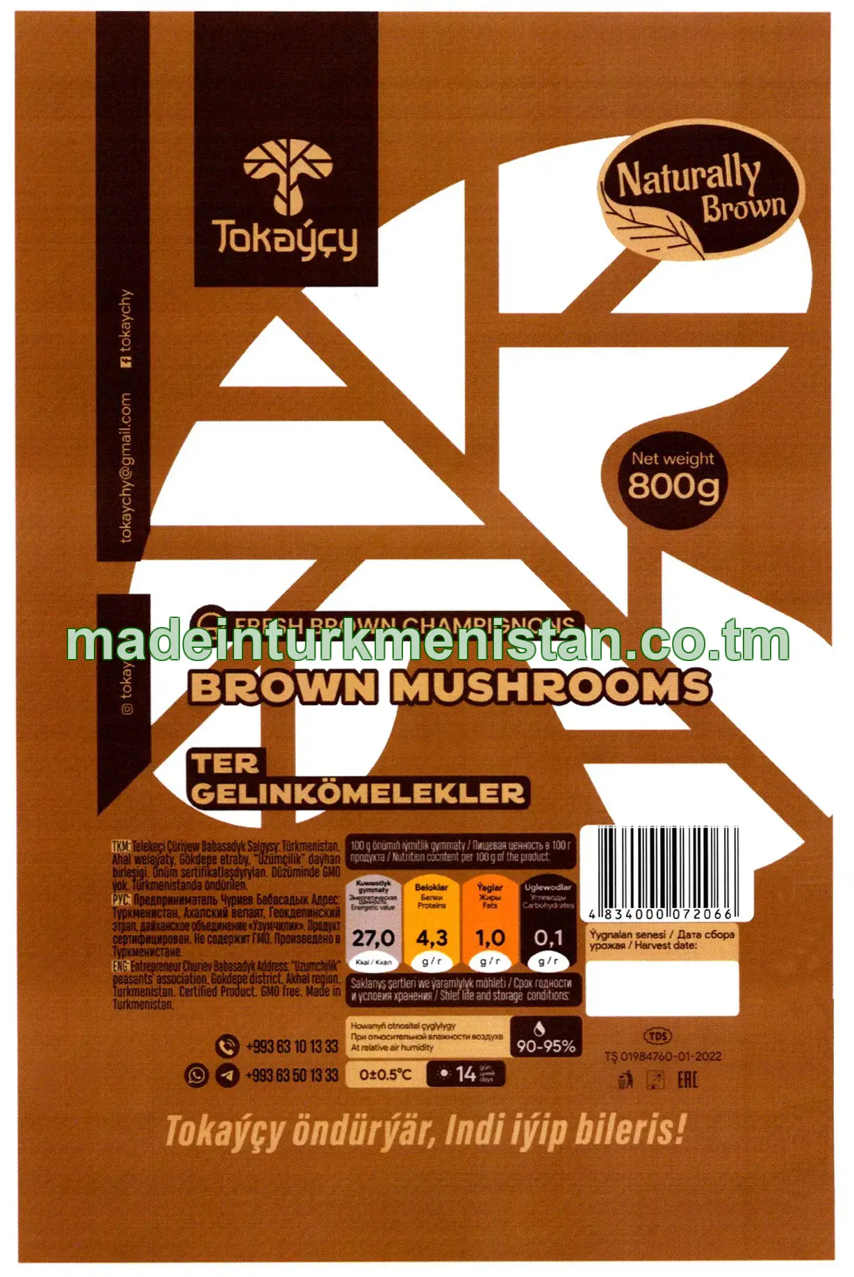Ter gelinkömelekler (brown mushrooms)