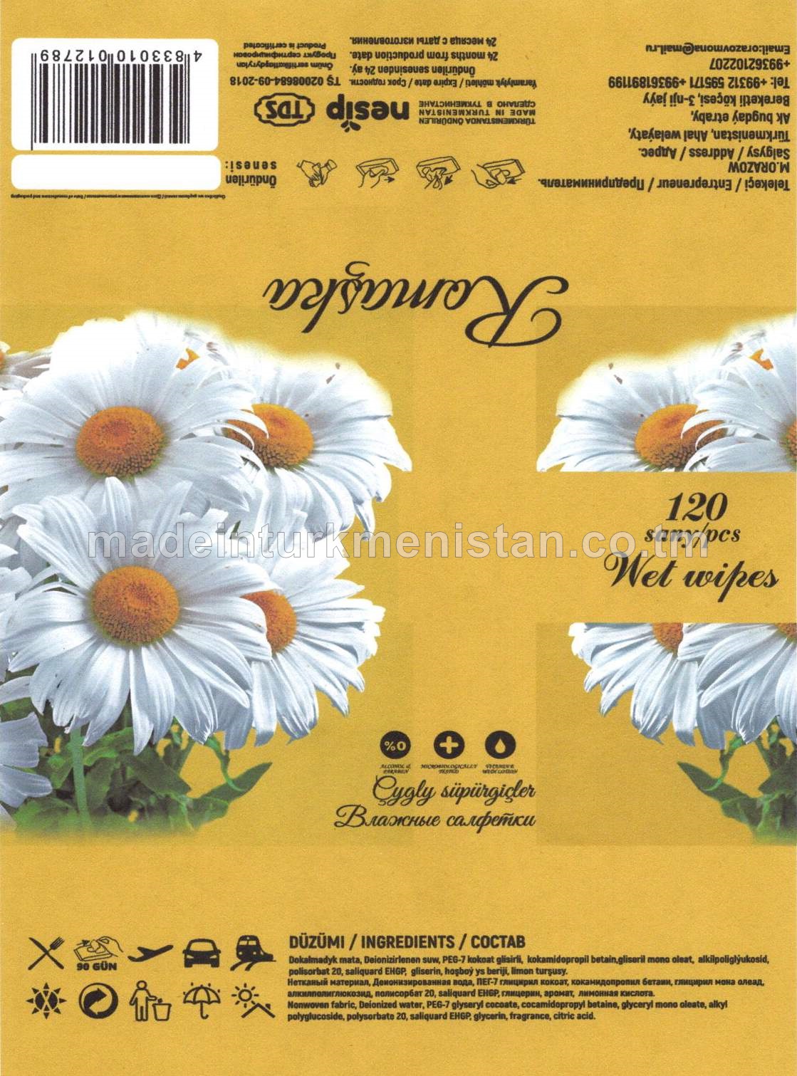 "Romaşka" çygly süpürgiçler