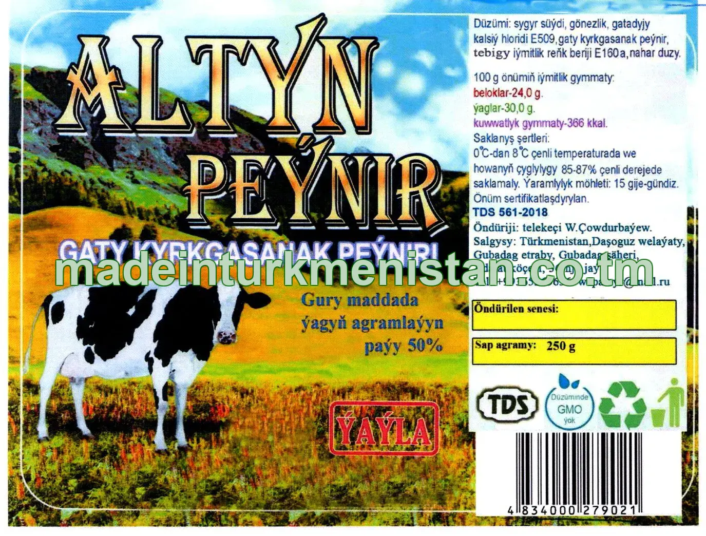 "Altyn peýnir" Gaty kyrkgasanak peýniri, ýaglylygy 50%
