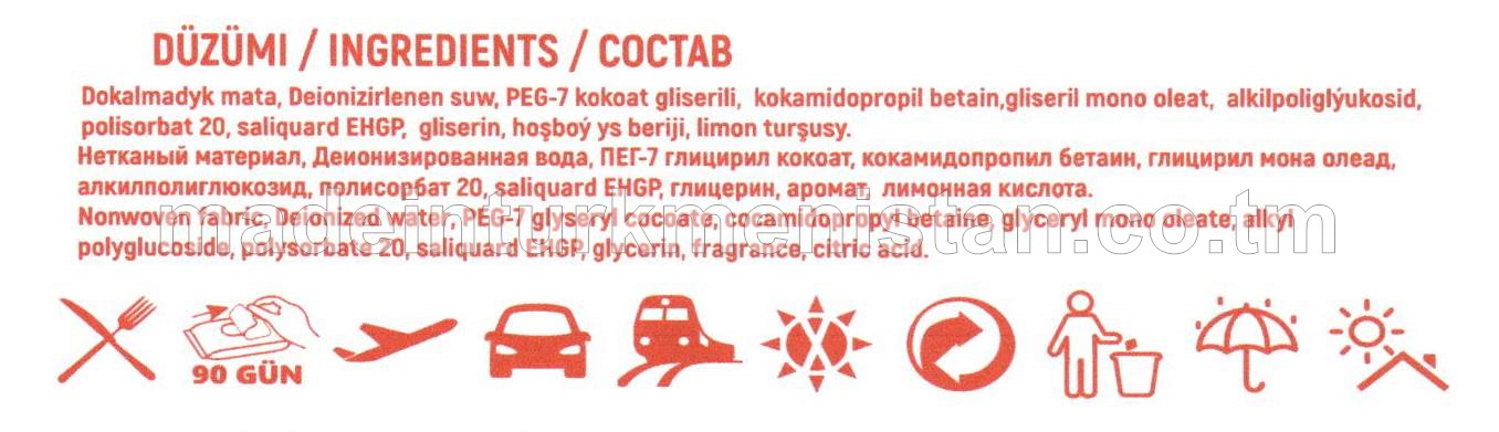 Çygly süpürgiçler Bägül