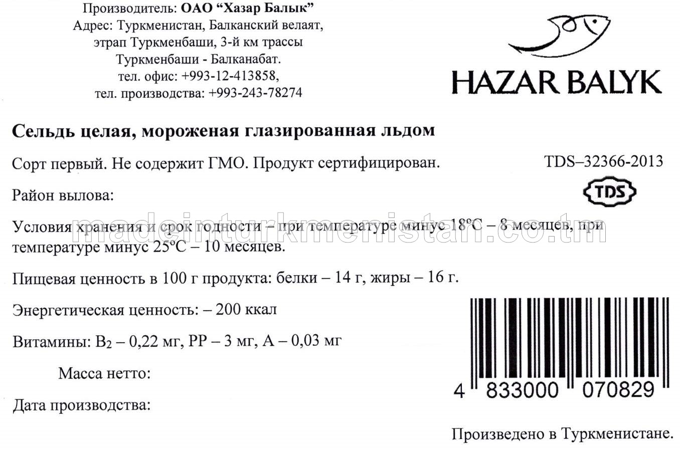 Buz örtülen doňdurylan bitin hazar takgaz balygy