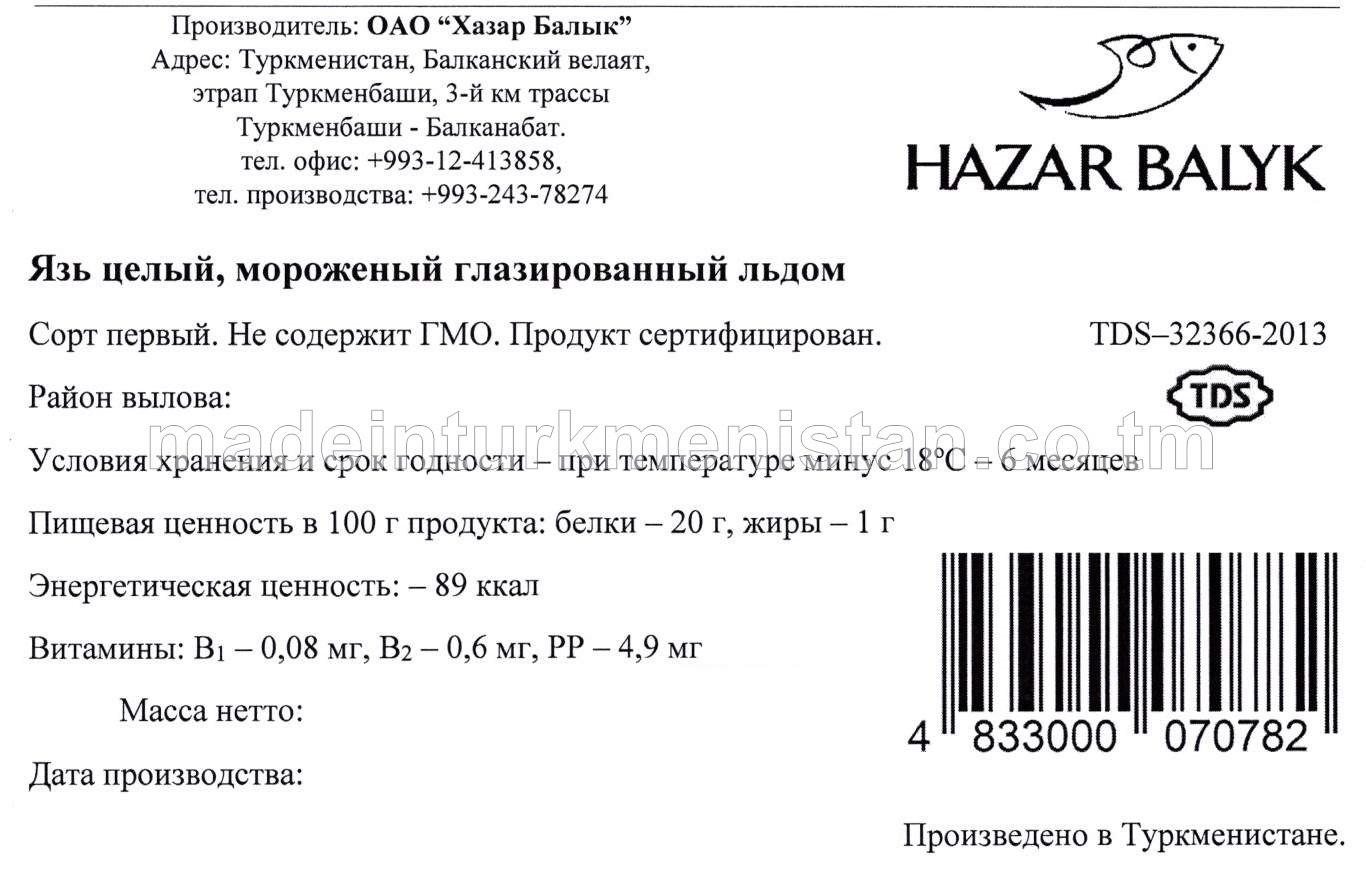 Buz örtülen doňdurylan bitin hazar ide balygy