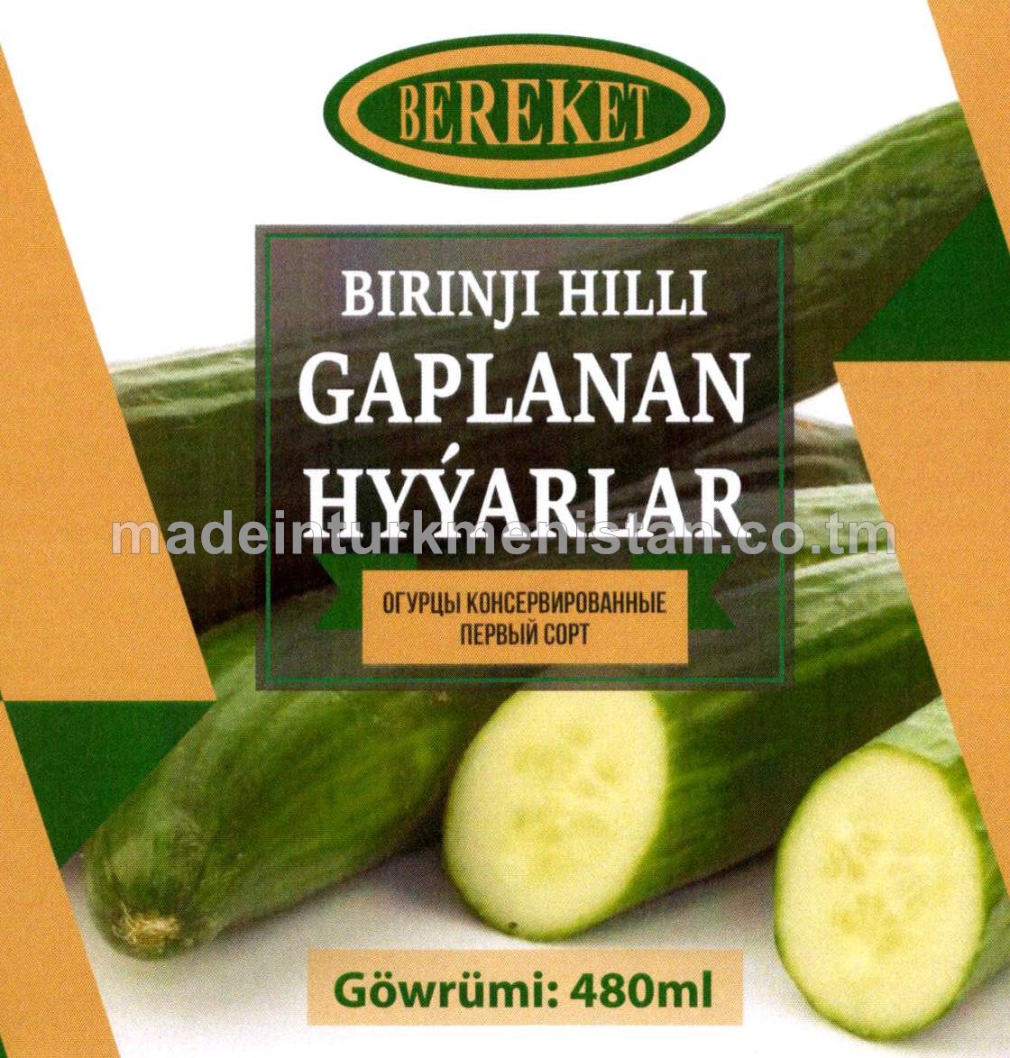 Birinji hilli gaplanan hyýarlar