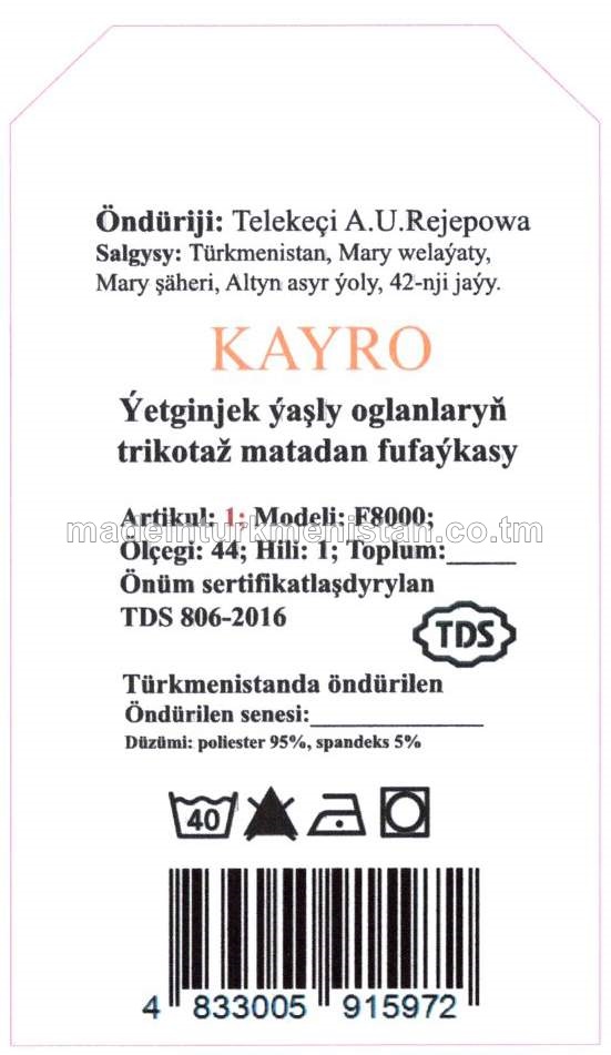 Ýetginjek ýaşly oglanlaryň trikotaž matadan fufaýkasy. Modeli: F8000, artikul: 1, ölçegi: 44