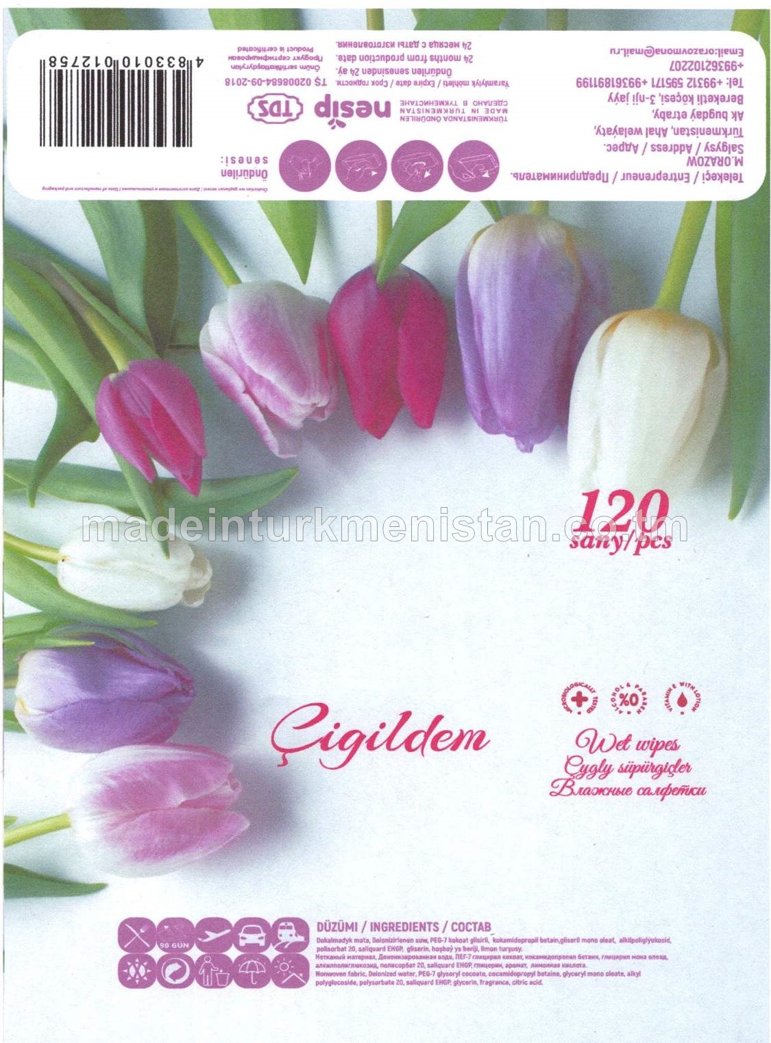 "Çigildem" Çygly süpürgüçler 