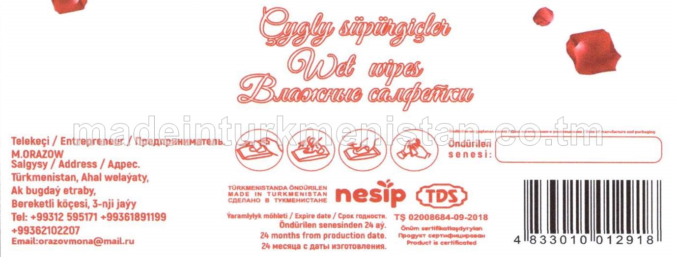 Çygly süpürgiçler Bägül