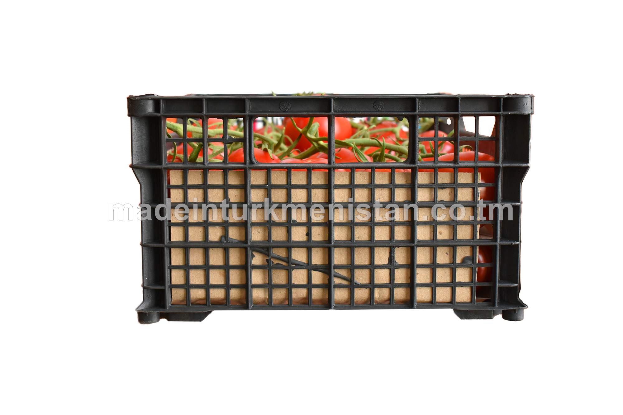 Gyzyl reňkli ter pomidor salkymlary