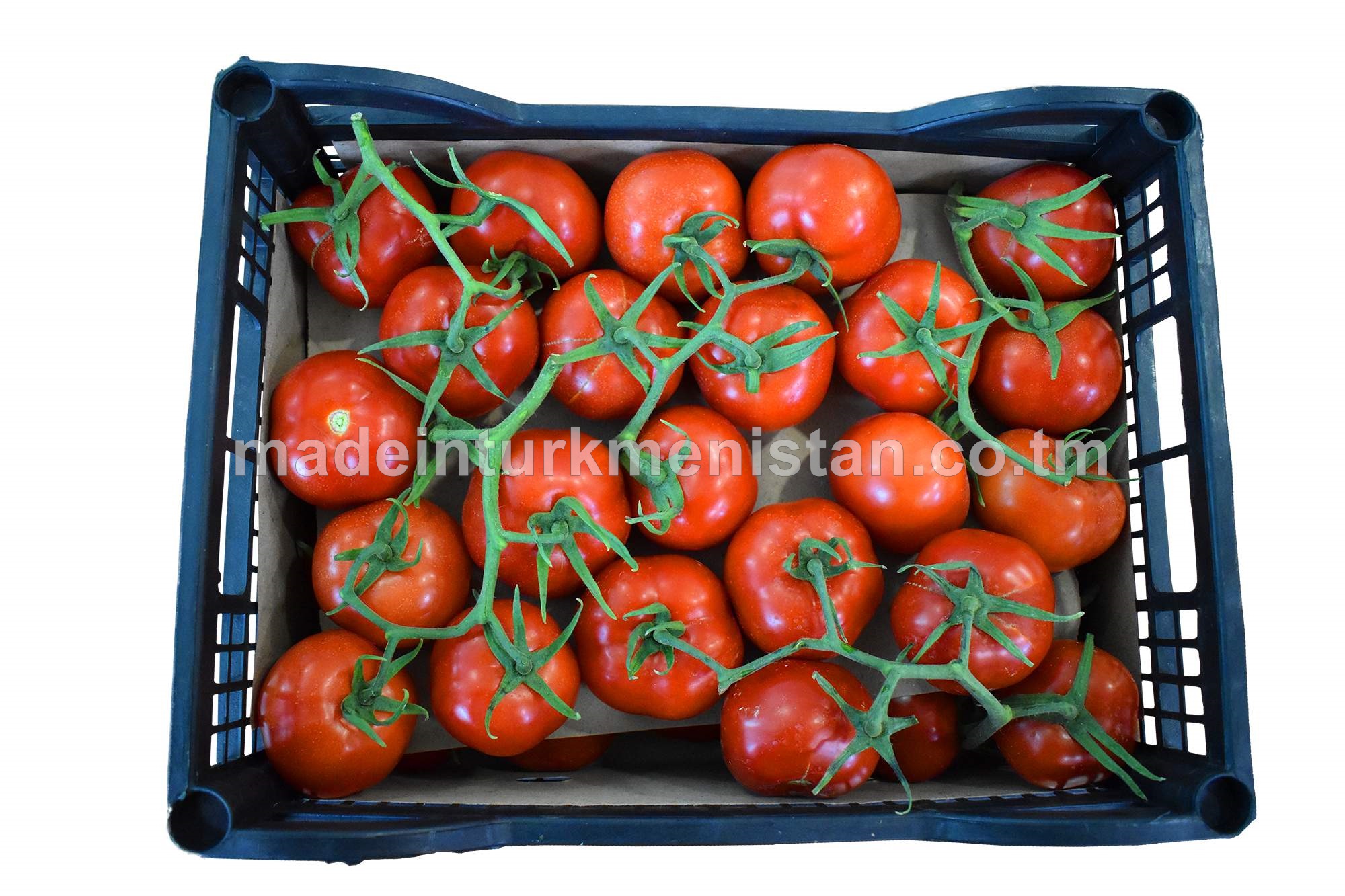 Gyzyl reňkli ter pomidor salkymlary